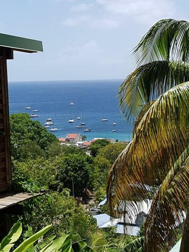 Les Lodges Des Hauts de Deshaies Bungalow Tobago