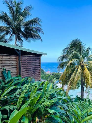 Les Lodges Des Hauts de Deshaies Bungalow Tobago