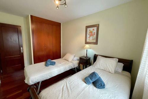 Apartamento Comfort Suite Vv