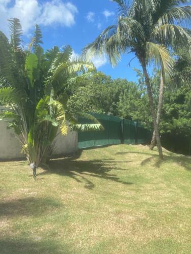 Apartamento Coco-mango Apt. D