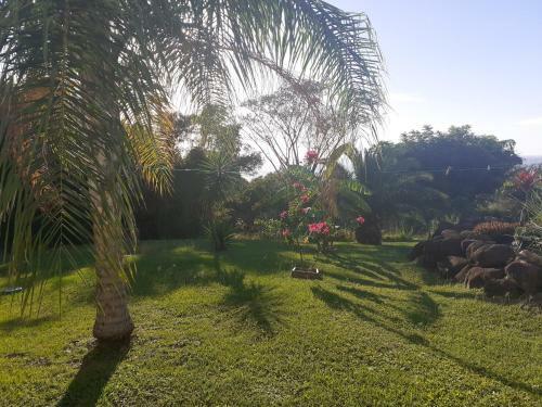 Villa Tropical Quintet