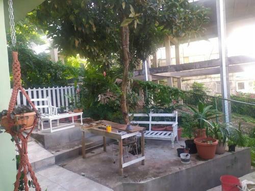 Urban Oasis Apartment