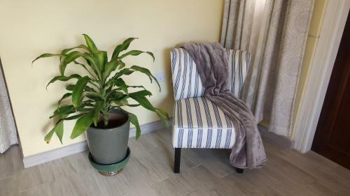 Apartamento Eden Villas Saint Lucia