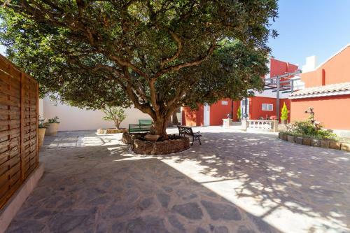 Apartamento Albor Suites