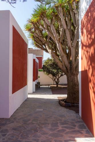 Apartamento Albor Suites