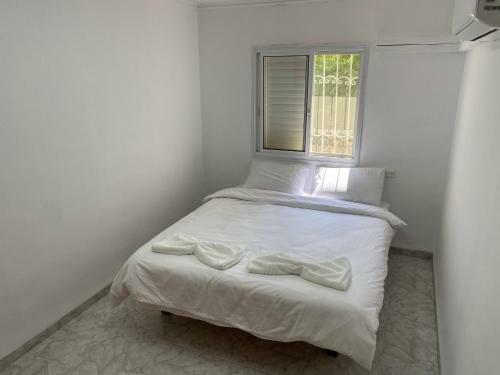 Apartamento ???? ??????