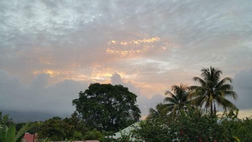 Apartamento Chez Nemo