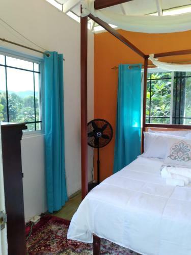 Hostal Caldo Tours