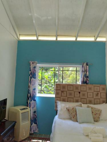 Hostal Caldo Tours