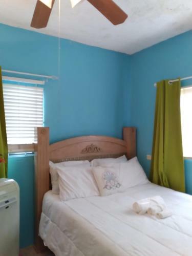 Hostal Caldo Tours