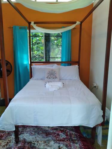 Hostal Caldo Tours