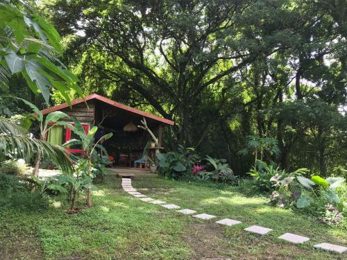 Lodge Martinique Treehouse