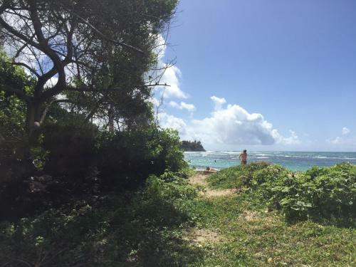 Apartamento Location Guadeloupe