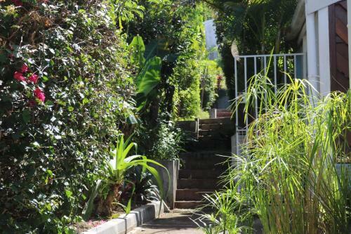 Apartamento Alpinia De La Cara�be