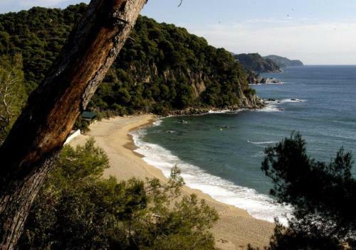 Villa Vivalavida Beach 1km