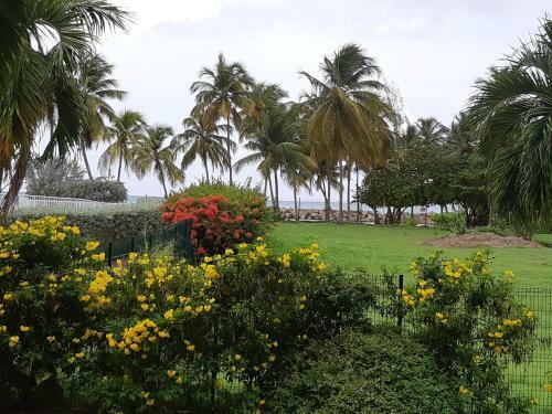 Apartamento Bonheur � La R�sidence Savane