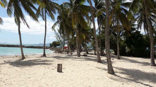 Apartamento Bonheur � La R�sidence Savane