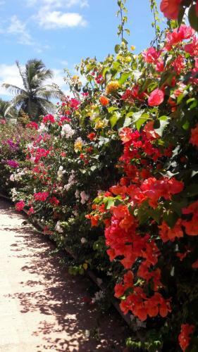 Apartamento Bonheur � La R�sidence Savane