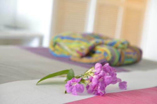 Apartamento Studio "bleu Turquoise"