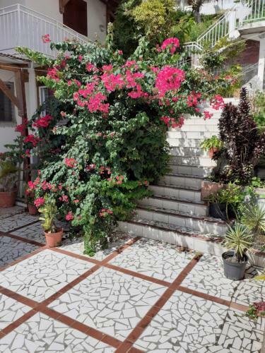 Apartamento Appartement F2