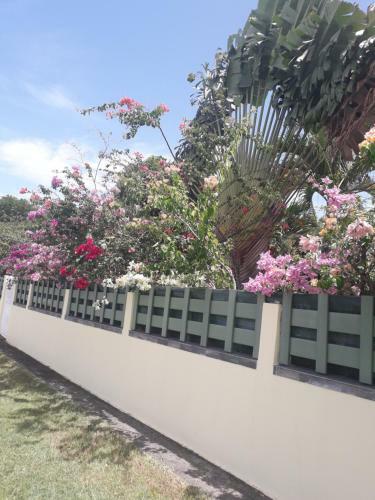 Bungalow Des Iles