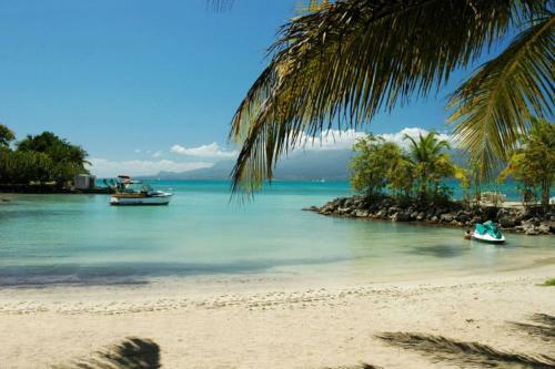 Apartamento Studio De Charme Face � La Mer