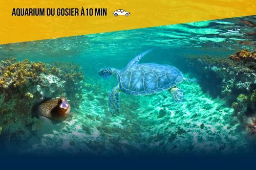 Apartamento Les Grenadines