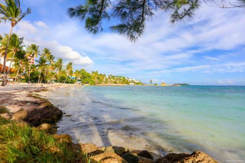 Apartamento Le Paradis Studio Avec Son Access Plage Et Sans Coupure D'eau