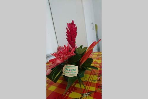 Apartamento Location Proche Plage