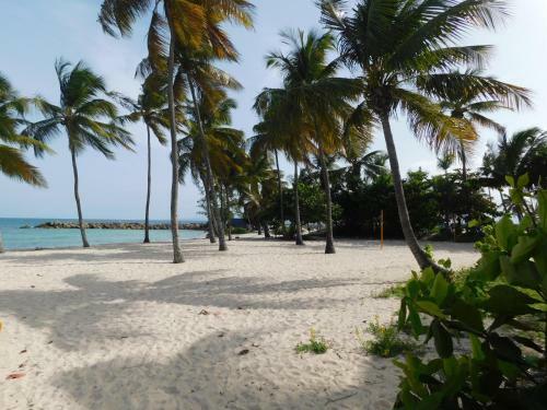 Apartamento Studio West-indies R�sidence Savane Et Archipel