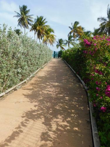 Apartamento Studio West-indies R�sidence Savane Et Archipel