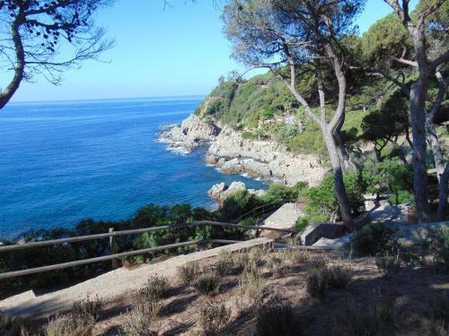 Apartamento Con Terraza Vistas Al Mar