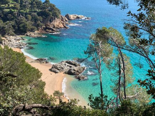 Apartments Paradise Lloret