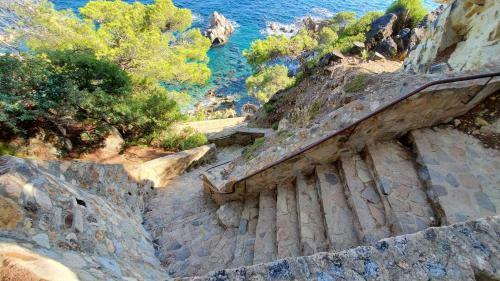 Apartments Paradise Lloret