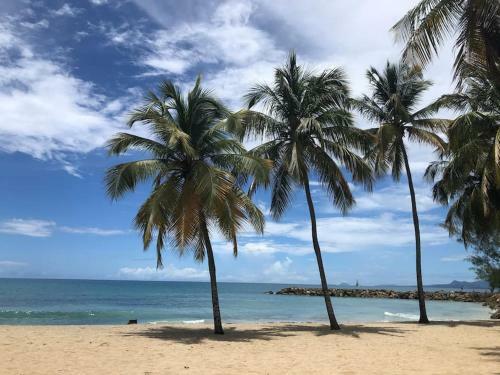 Apartamento Soleiade Le Gosier - Acc�s Plage
