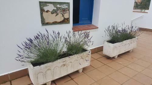 Lloret Apartments