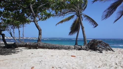 Apartamento Studio � La Semaine, Au Mois Ou Plus