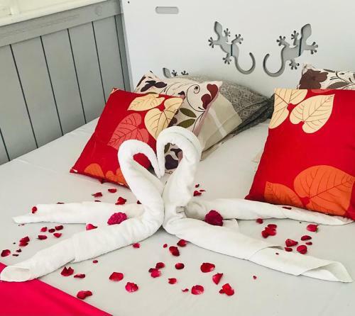 Apartamento Agr�able Studio Face � La Plage :)