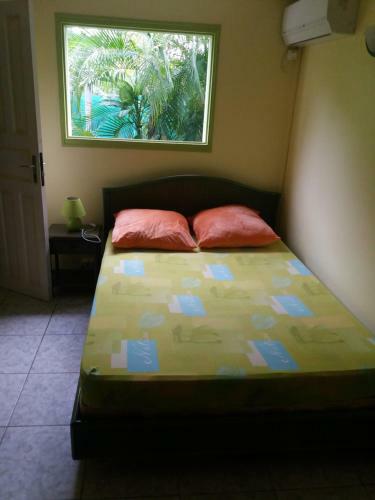 Apartamento Nature