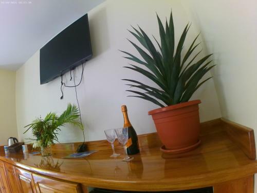 Toraille Waterfall Poolside Apartment