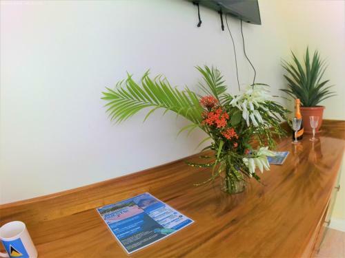 Toraille Waterfall Poolside Apartment