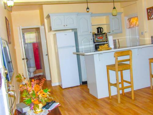 Amazon Villas