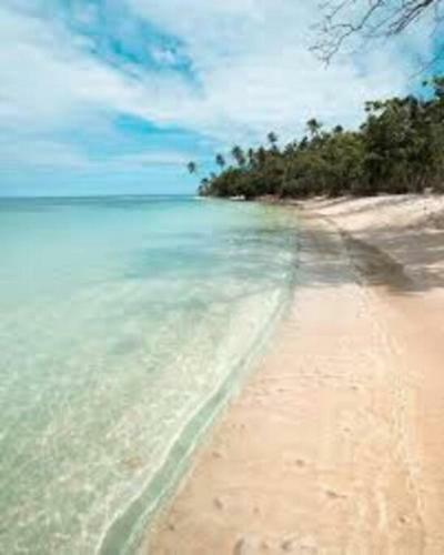 Apartamento Amazing Ocean View Corner Ph Surrounded By Nature