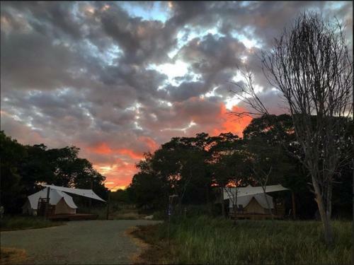 Pitahaya Glamping