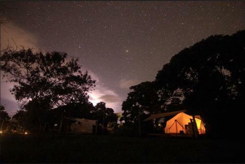Pitahaya Glamping