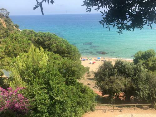 Apartments Centro Lloret Para 6