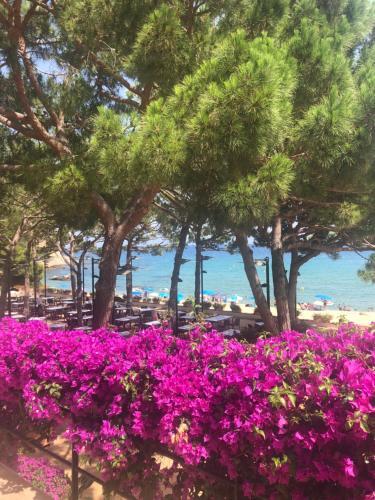 Apartments Centro Lloret Para 6