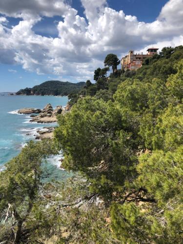 Apartments Centro Lloret Para 6