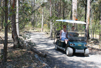 Lodge Eaglereach Wilderness Resort