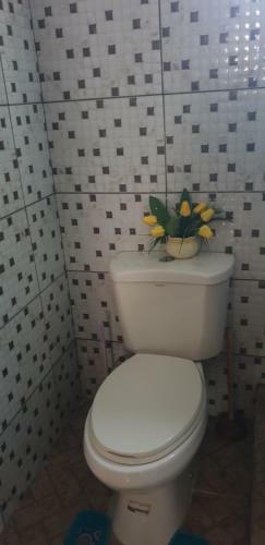 Apartamento Signature Comfort